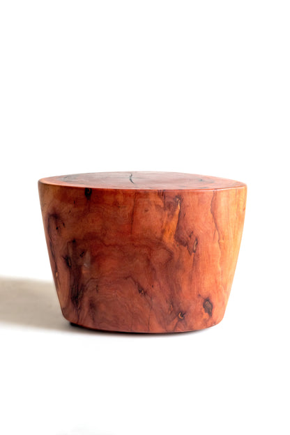 Mesa Chuun grande / Chicozapote